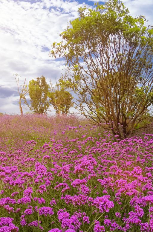 重庆到西安旅游3天游怎么玩,重庆轮渡两江游路线