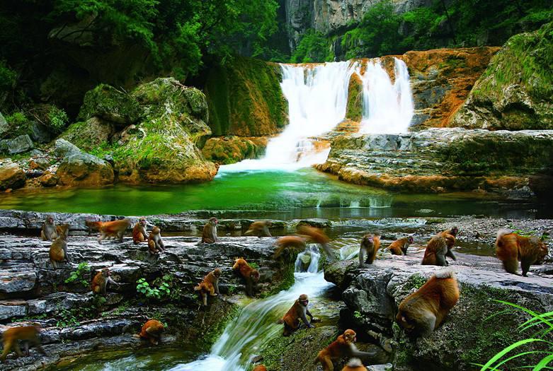 山西晋城招商项目,山西各地最新招商项目