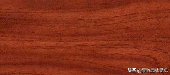 木纹最好看的木材图片,各种木材纹理图片与名称
