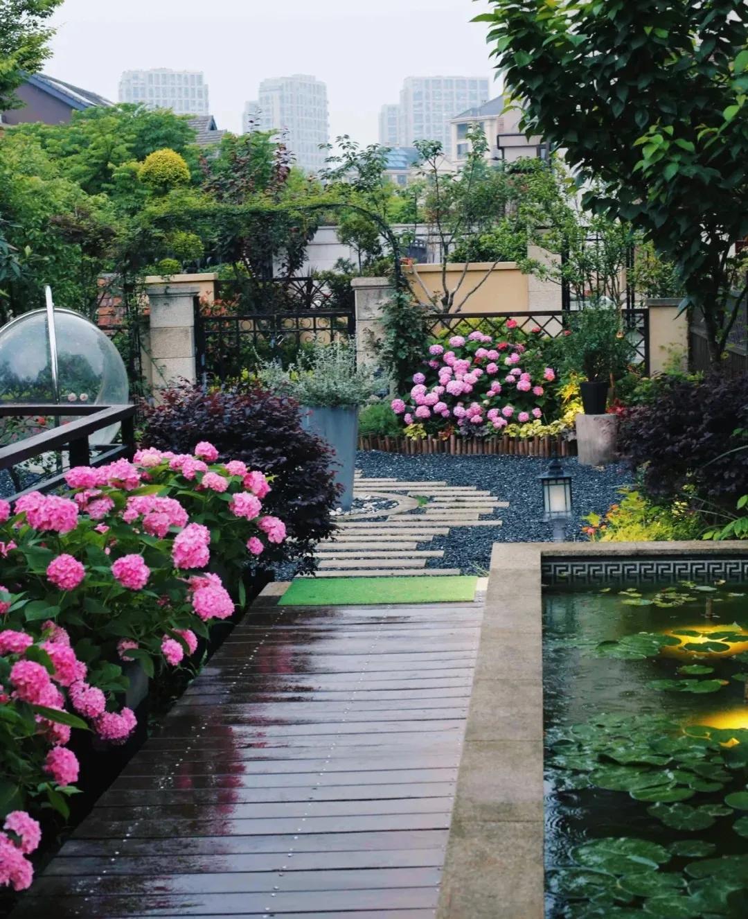 适合懒人家庭种菜100种,家里种菜这3种就够了