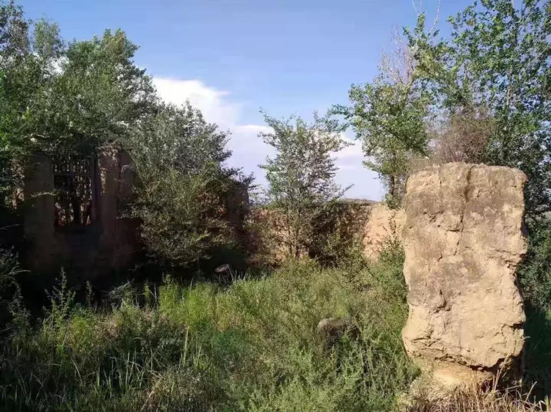 【本土】黄黑绿:印象三色准格尔旗“羊塔市”