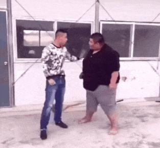 金毛搞笑表情图片伸手,金毛玩耍的动图搞笑