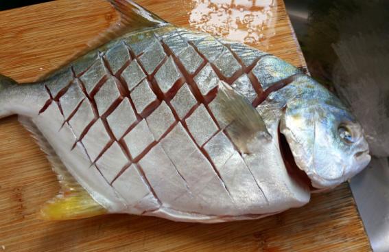 骨刺少的淡水鱼,骨刺少的鱼有哪些