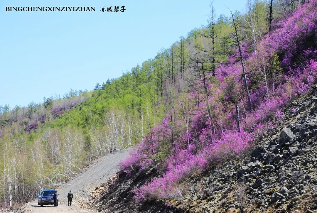 寻找中国最美的春季,探寻中国最美秘境
