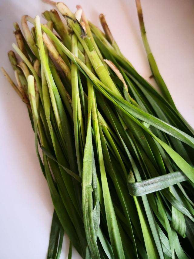 韭菜新吃法一周瘦八斤,韭菜这样吃一夜暴瘦三斤