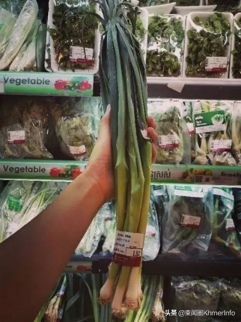 柬埔寨最大超市,柬埔寨金边日本永旺超市