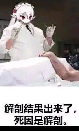 明日方舟灰雾迷境,明日方舟灰蕈迷境数据统计