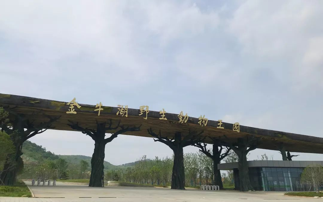 南京人关心的消息,南京市人注意事项