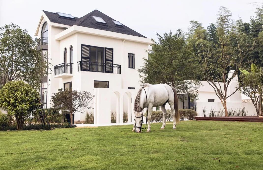 山林竹笋泊云屋舍.....莫干山每一宿都有不期而遇小惊喜