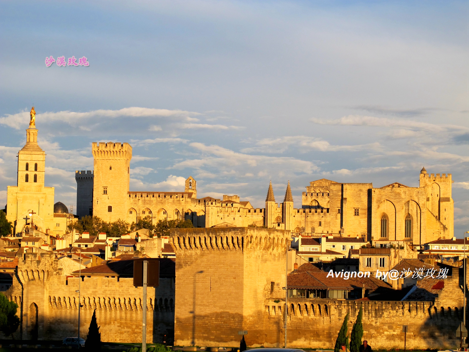 普罗旺斯有浪漫的薰衣草,普罗旺斯未开的熏衣草