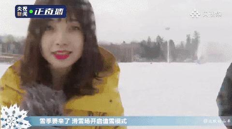 看央视节目,看央视