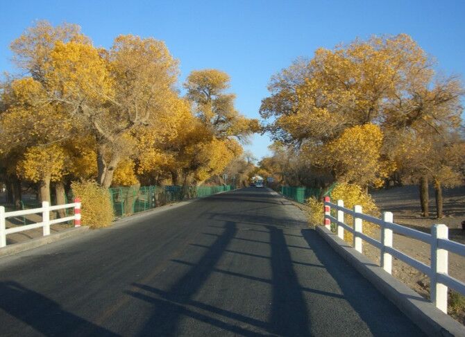 成都到额济纳旗五日游,南京到额济纳旗旅游攻略
