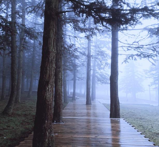 重庆武隆两日游攻略,武隆两日游怎么安排