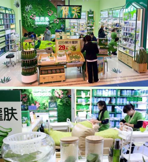 芭芭多美容产业新发展,芦荟产业链