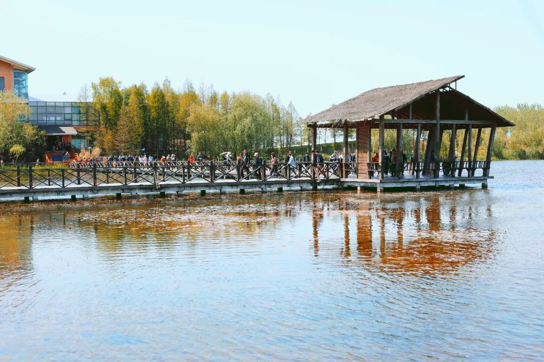 泰州旅游攻略五日游,泰州自由行旅游攻略一日游