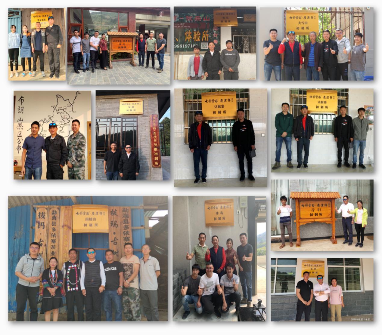 云南普洱茶十大高端茶排名,云南普洱茶滑竹梁子古树茶