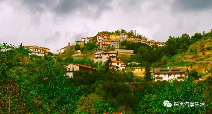 城市森林里的小精灵,森林中迷人的小精灵