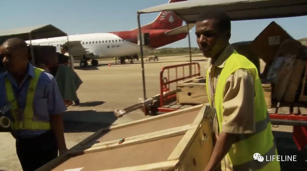 龟中“考拉”，请别让我们的孩子在博物馆见到它们...