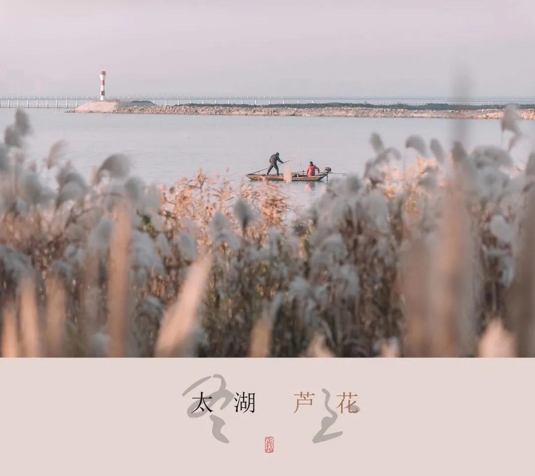 苏州小众却很棒的地方,五一来苏州必去的打卡地