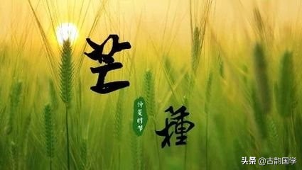 二十四节气对应一句诗句,二十四个节气二十四首诗词与配图