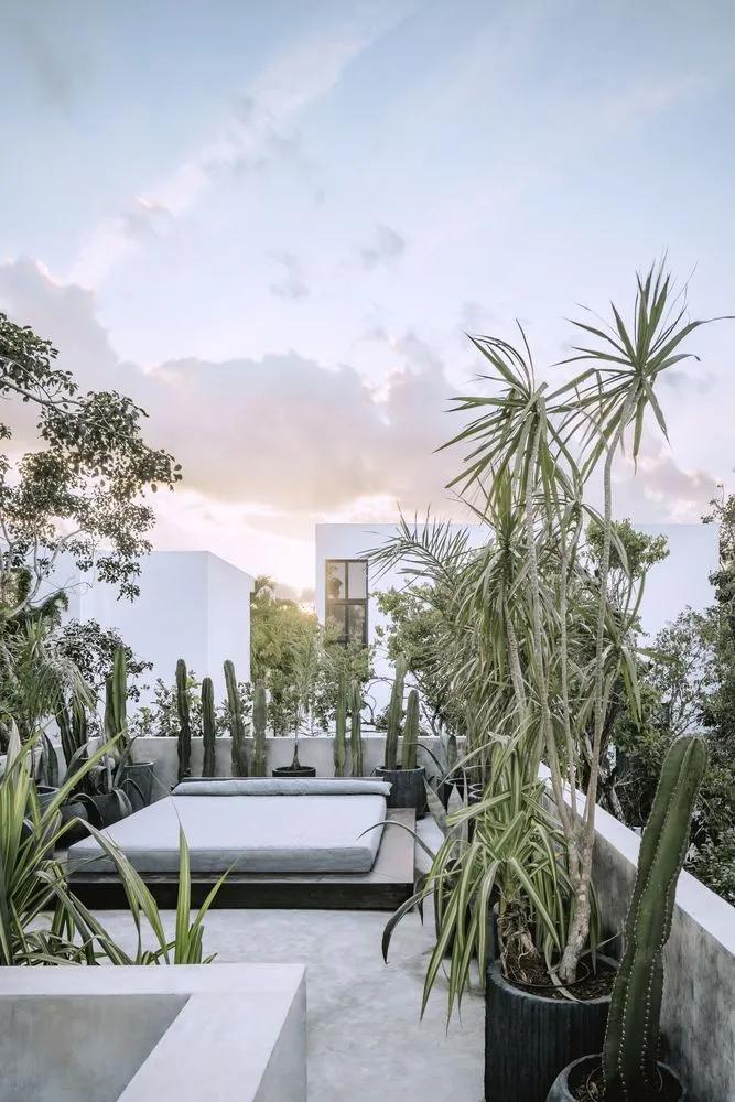 CO-LAB|自然系住宅