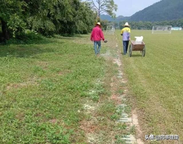 全国青运会足球,足球比赛时球场上出现蛇