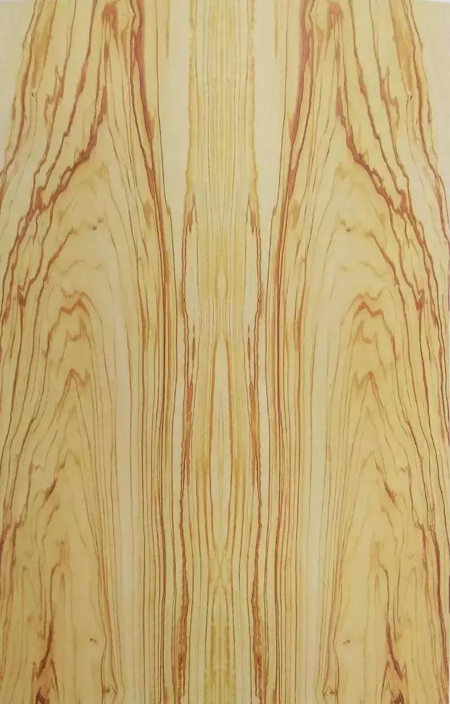 最美木皮,轻奢极简天然木皮