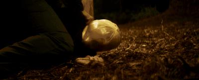 美国科幻丧尸大片9.0以上评分,人类和丧尸组队打骷髅科幻电影