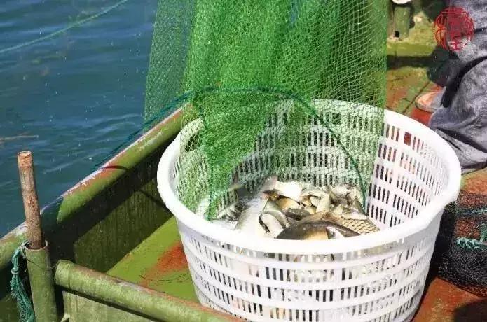 苏州通安的特色,苏州通安有什么美食