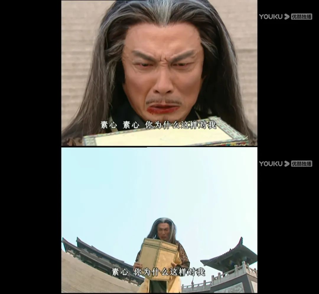 天下第一素心清醒,天下第一素心赌气铁胆神侯