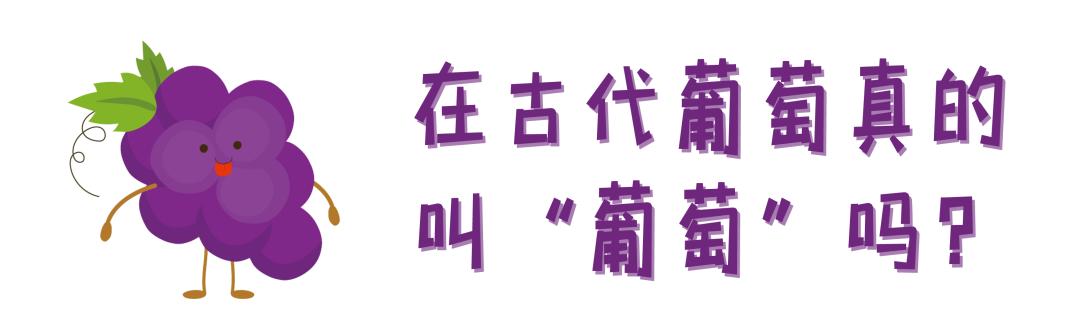 葡萄熟了但很小,葡萄有的熟了有的没熟