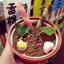 苏州知青回忆录,苏州最近非常红的网红店