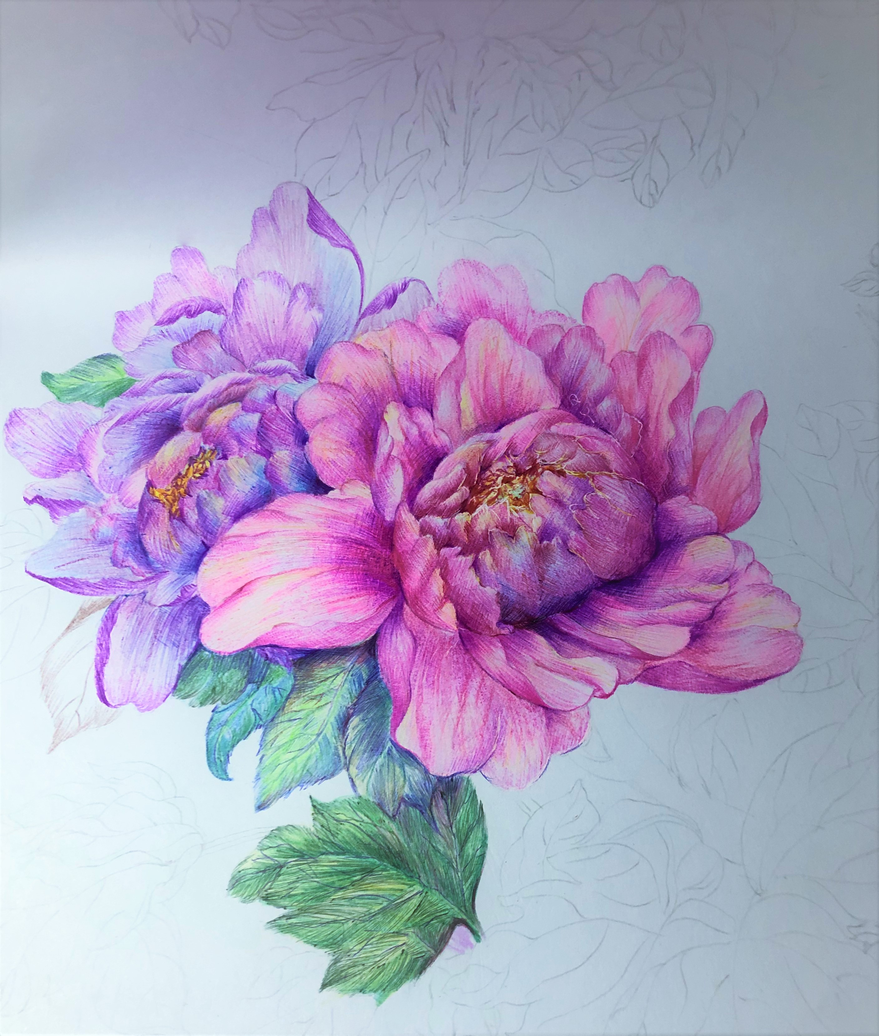 圆珠笔画牡丹教学,圆珠笔画牡丹的画法