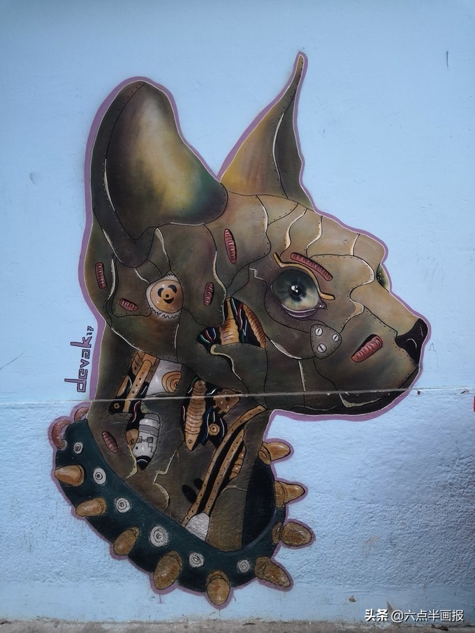 骑单车去南非旅游,南非开普敦旅行记