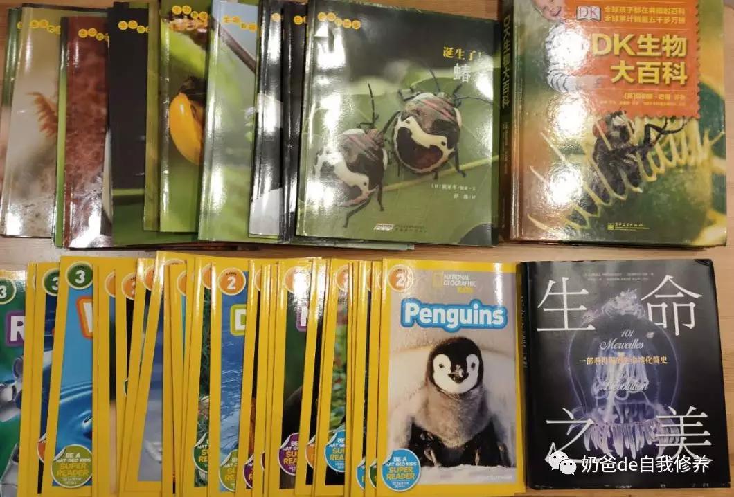 关于动物有趣的书小学生,关于动物好看的书有哪些