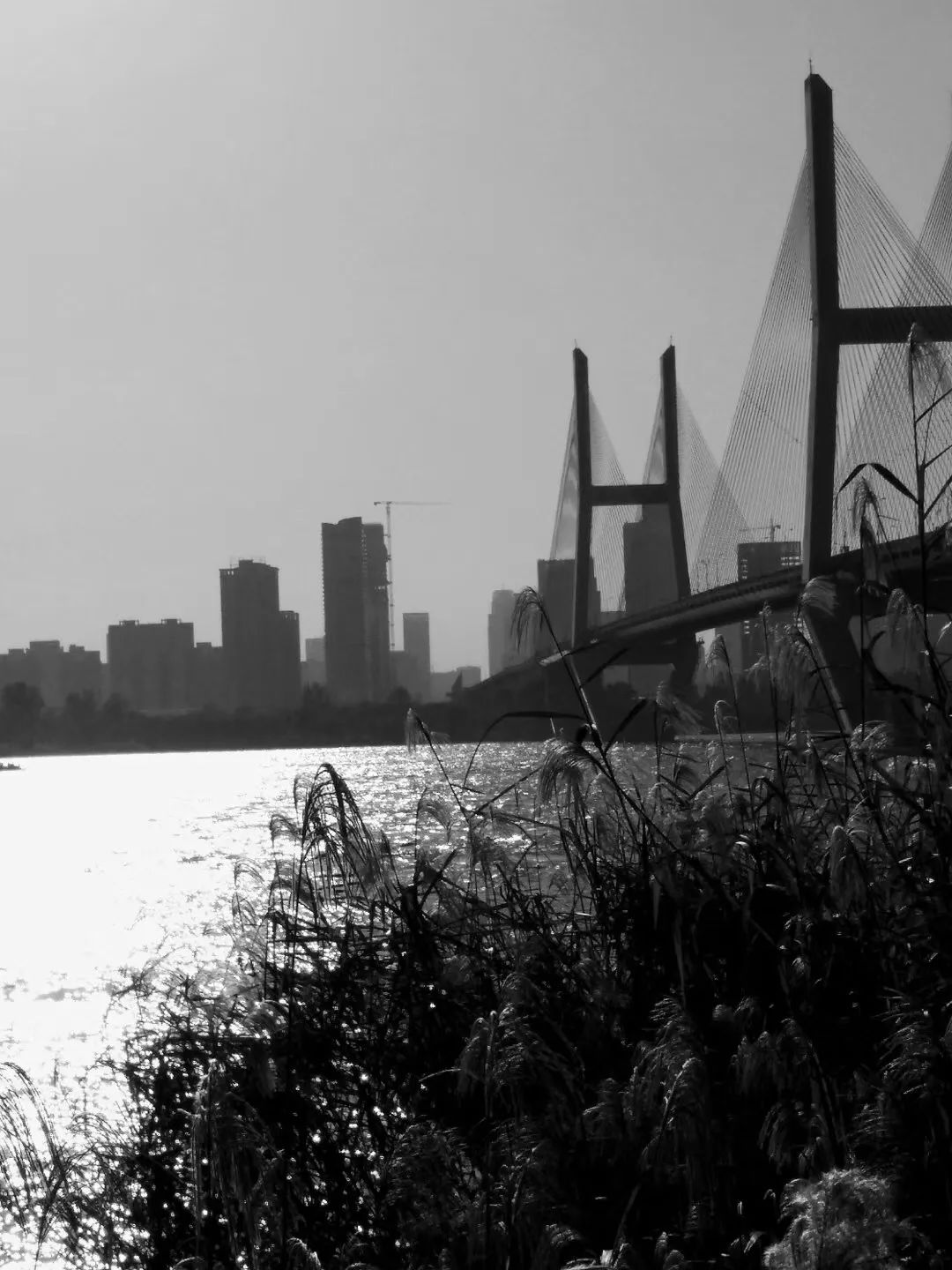 法驻武汉领事馆,法驻武汉总领事