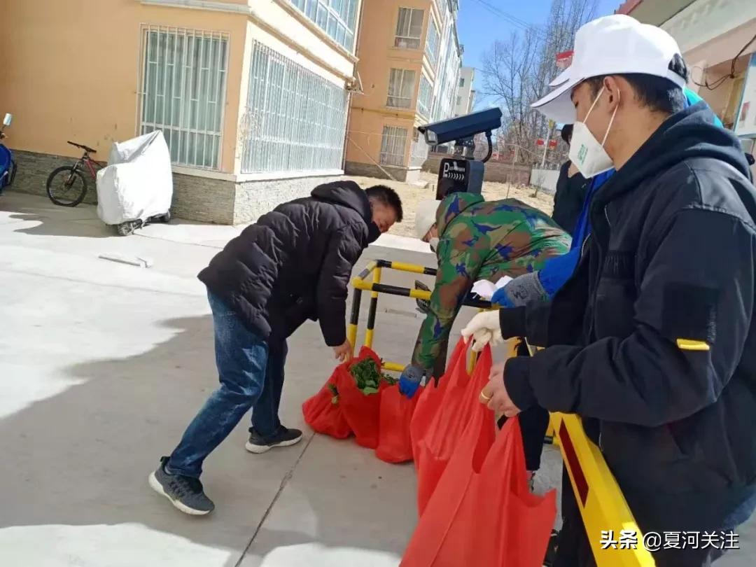 抗击疫情的青年突击队照片,碌曲突击队