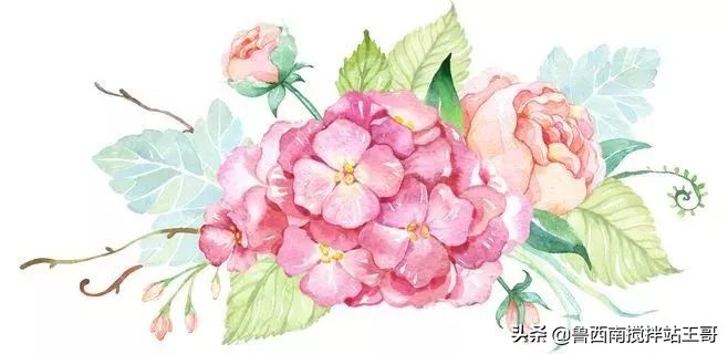 牡丹十大品种九大花系,牡丹进口品种图片及名称