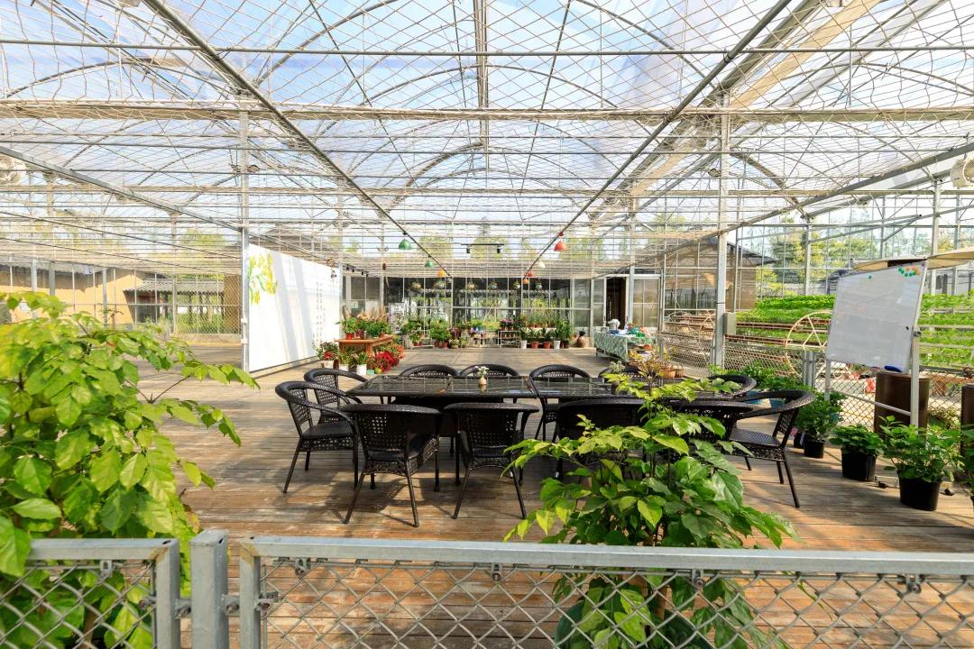 妗愪埂鍚堟偊姹熷崡骞哥鐢熸椿,妗愪埂鍚堟偊姹熷崡鏃呮父鏀荤暐