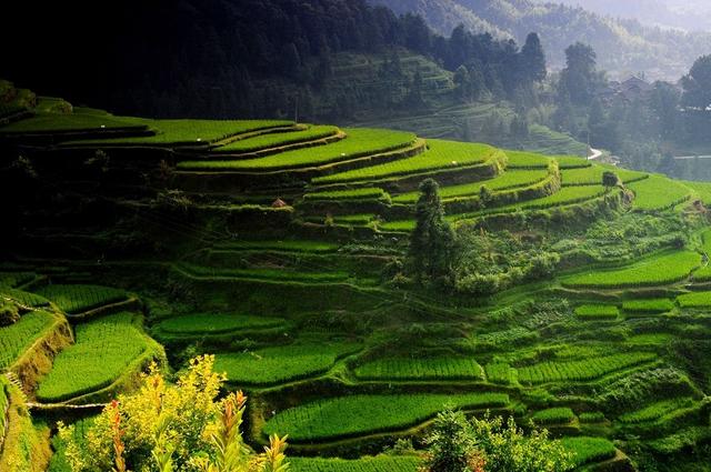 贵州自由行梵净山黄果树,贵州黄果树景区旅游攻略一日游
