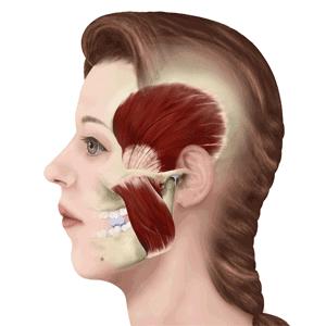 关于除皱针你知道多少,关于微整形你想知道的都在这里