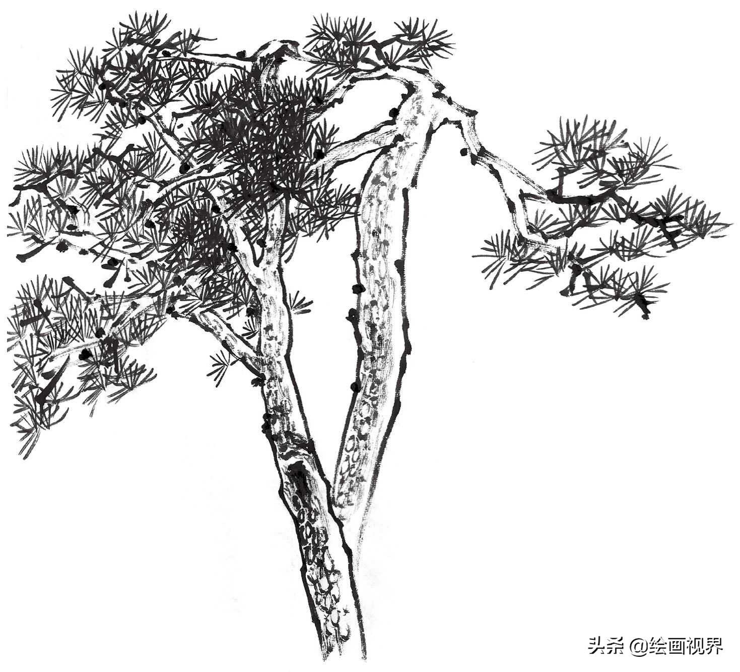 国画双钩树的画法入门,国画杂树与山石的画法图片