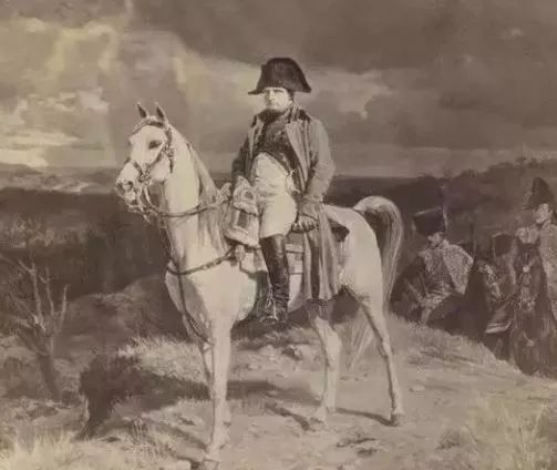 白马踏雪山金正恩座骑大有来头｜除了帅气人类为何钟情白马？