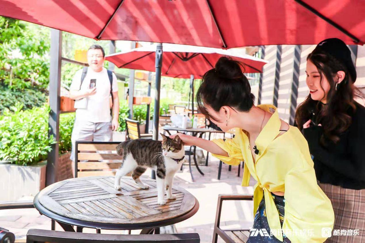 吸猫、K歌、花式下午茶?冯提莫入职酷狗引粉丝在线实名羡慕