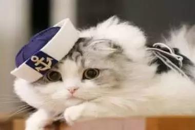 最容易读错的106个多音字赶快收藏,必背50个常见多音字你会几个