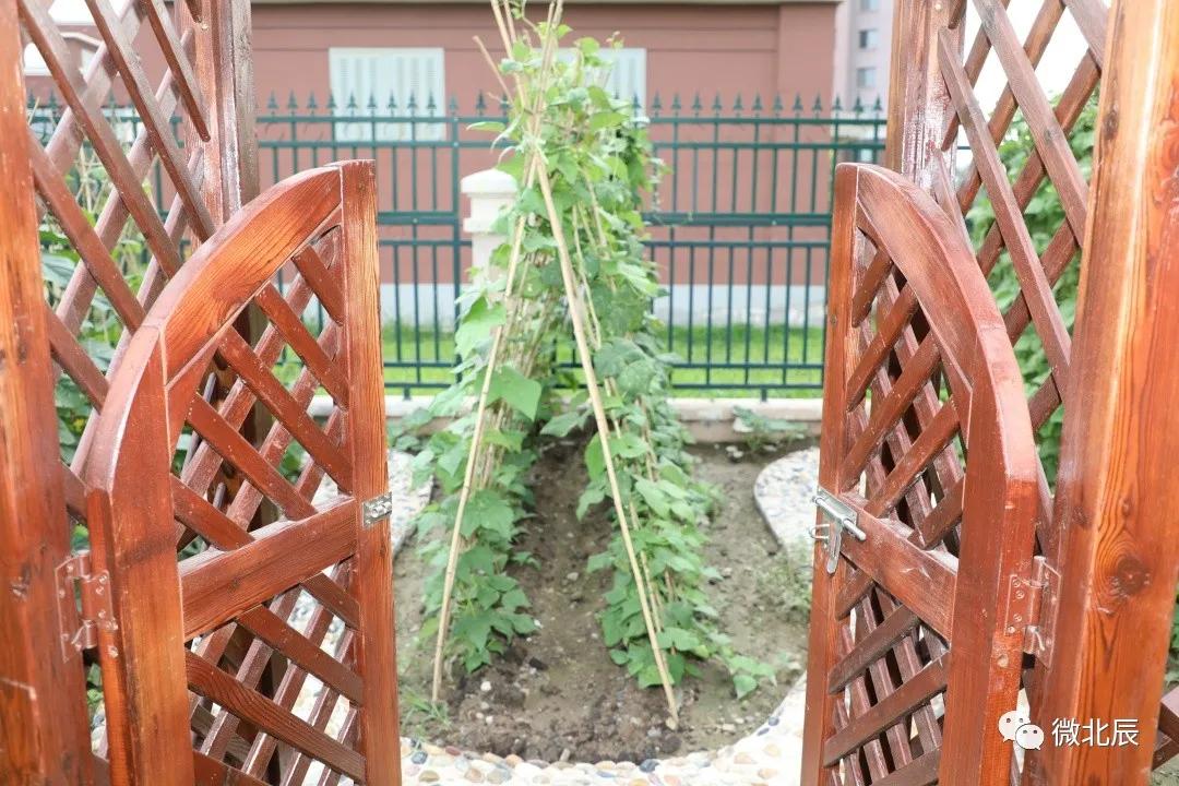 北辰最好的公立幼儿园,45所民办幼儿园