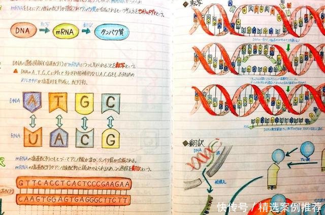 智力低下没有理解能力怎么办,超常大脑记忆法