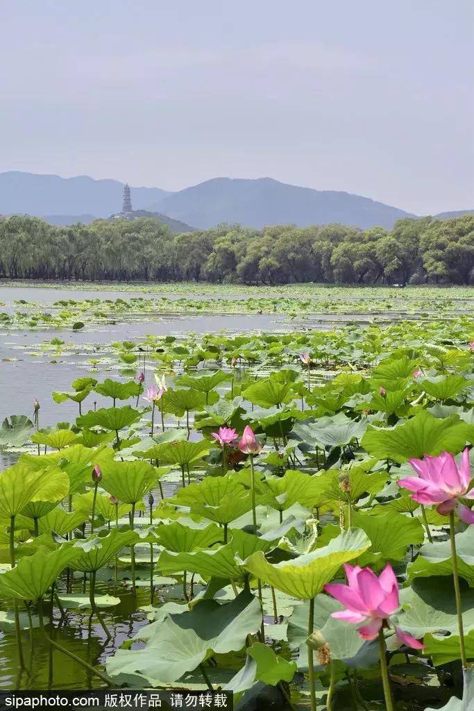 北京景点中被列入世界遗产名录,北京的7处世界文化遗产