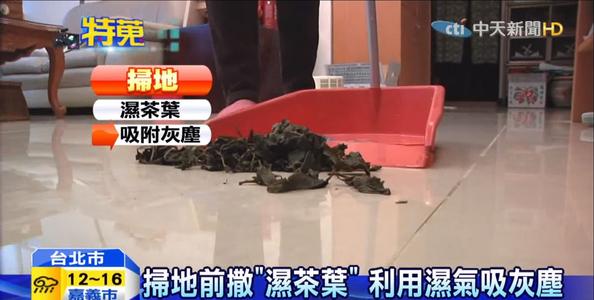 猫咪掉毛铲屎官怎么办,怎样解决猫咪掉毛非常严重的情况