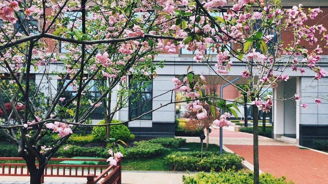 许昌市实验中学招生电话,许昌魏都区实验中学招生公告